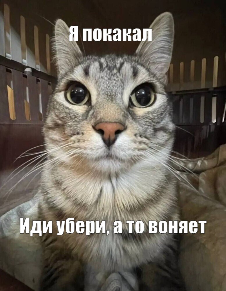 Блондинка возжелала покакать
