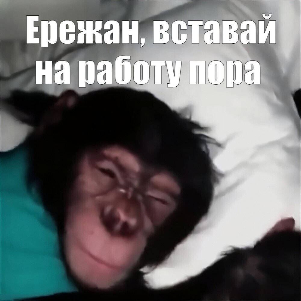 Хорош Дрочить Пора Службу Тащить