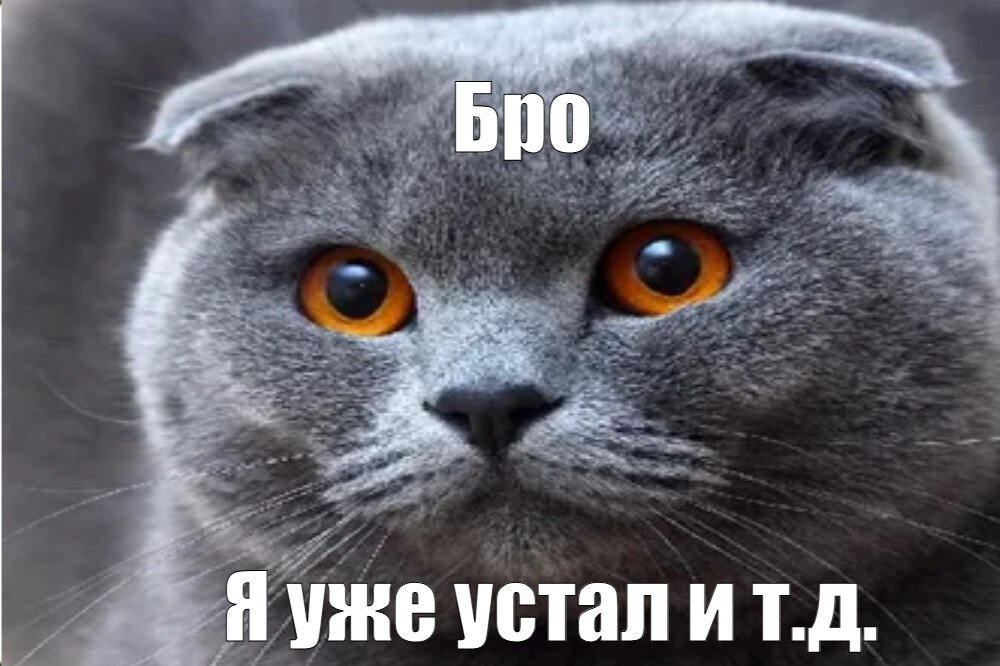 Для бро не должно быть жалко шлюшки Для бро не должно быть жалко шлюшки
