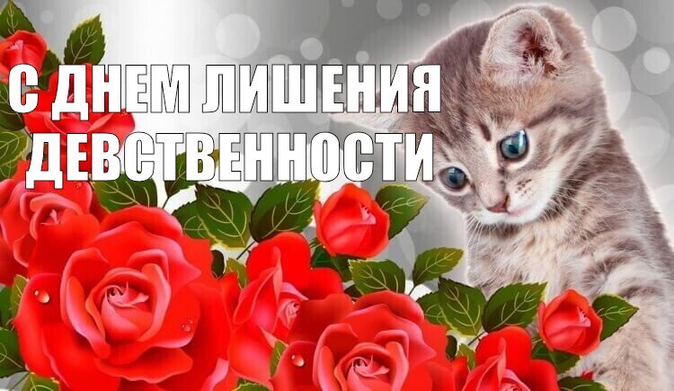 Бесплатно Про Целок