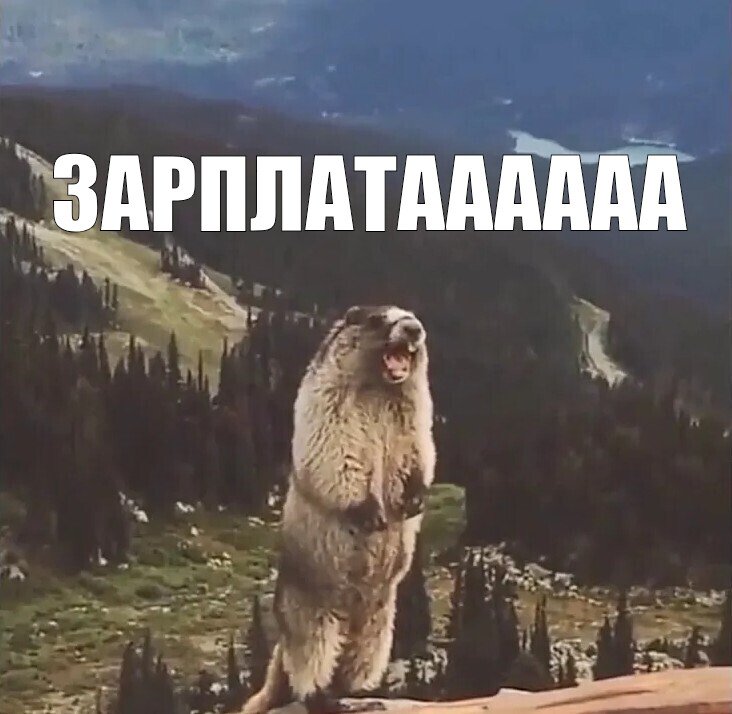Милашка возьмет высокую плату 
