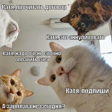 Катя Секса Не Будет Катя Секса Не Будет