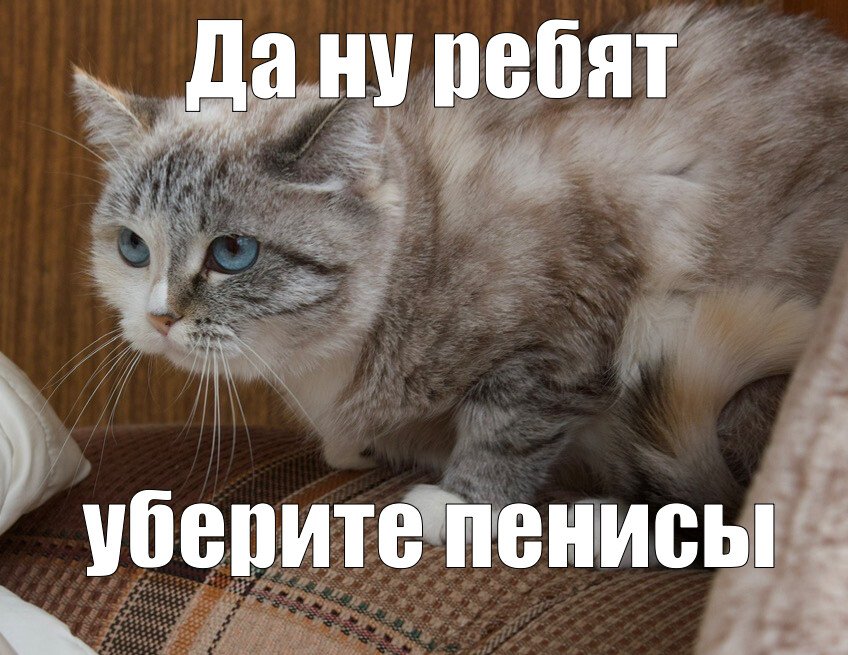 Ваши члены часть 14 Ваши члены часть 14